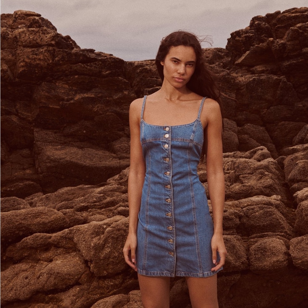 Zara denim dress